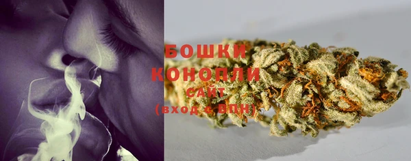 МДПВ Нея
