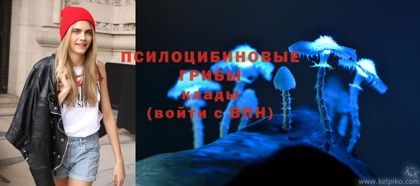 молекула духа Надым