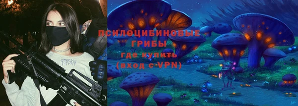 МДПВ Нея
