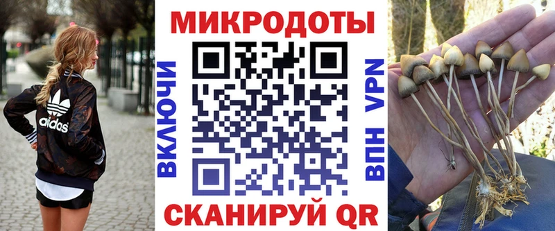 купить  сайты  Салехард  hydra ТОР  Псилоцибиновые грибы Psilocybine cubensis 